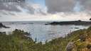 ./images/calvert/foggy-cove/20260828/foggy-cove20260828_112501M.jpg