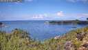 ./images/calvert/foggy-cove/20260828/foggy-cove20260828_115001M.jpg