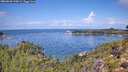 ./images/calvert/foggy-cove/20260828/foggy-cove20260828_120002M.jpg