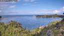 ./images/calvert/foggy-cove/20260828/foggy-cove20260828_121501M.jpg