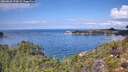 ./images/calvert/foggy-cove/20260828/foggy-cove20260828_123002M.jpg