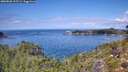 ./images/calvert/foggy-cove/20260828/foggy-cove20260828_125502M.jpg