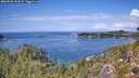 ./images/calvert/foggy-cove/20260828/foggy-cove20260828_133001M.jpg