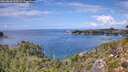 ./images/calvert/foggy-cove/20260828/foggy-cove20260828_135502M.jpg