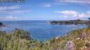 ./images/calvert/foggy-cove/20260828/foggy-cove20260828_140501M.jpg