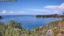./images/calvert/foggy-cove/20260828/foggy-cove20260828_143501M.jpg