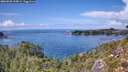 ./images/calvert/foggy-cove/20260828/foggy-cove20260828_144001M.jpg