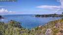 ./images/calvert/foggy-cove/20260828/foggy-cove20260828_144501M.jpg