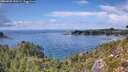 ./images/calvert/foggy-cove/20260828/foggy-cove20260828_150502M.jpg