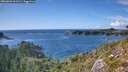 ./images/calvert/foggy-cove/20260828/foggy-cove20260828_161501M.jpg