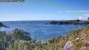 ./images/calvert/foggy-cove/20260828/foggy-cove20260828_165501M.jpg