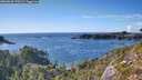 ./images/calvert/foggy-cove/20260828/foggy-cove20260828_170501M.jpg