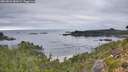 ./images/calvert/foggy-cove/20260829/foggy-cove20260829_081001M.jpg