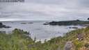 ./images/calvert/foggy-cove/20260829/foggy-cove20260829_081501M.jpg