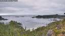 ./images/calvert/foggy-cove/20260829/foggy-cove20260829_082001M.jpg