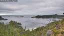./images/calvert/foggy-cove/20260829/foggy-cove20260829_082501M.jpg