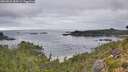 ./images/calvert/foggy-cove/20260829/foggy-cove20260829_083001M.jpg