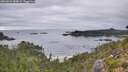 ./images/calvert/foggy-cove/20260829/foggy-cove20260829_084001M.jpg