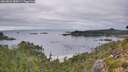 ./images/calvert/foggy-cove/20260829/foggy-cove20260829_084501M.jpg