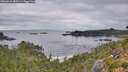 ./images/calvert/foggy-cove/20260829/foggy-cove20260829_085501M.jpg