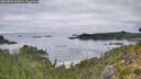 ./images/calvert/foggy-cove/20260829/foggy-cove20260829_091001M.jpg