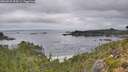 ./images/calvert/foggy-cove/20260829/foggy-cove20260829_094501M.jpg