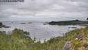 ./images/calvert/foggy-cove/20260829/foggy-cove20260829_102501M.jpg