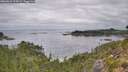 ./images/calvert/foggy-cove/20260829/foggy-cove20260829_104501M.jpg