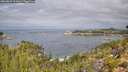 ./images/calvert/foggy-cove/20260829/foggy-cove20260829_111001M.jpg