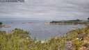 ./images/calvert/foggy-cove/20260829/foggy-cove20260829_111501M.jpg