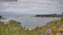 ./images/calvert/foggy-cove/20260829/foggy-cove20260829_112002M.jpg
