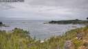 ./images/calvert/foggy-cove/20260829/foggy-cove20260829_114001M.jpg