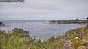 ./images/calvert/foggy-cove/20260829/foggy-cove20260829_120501M.jpg