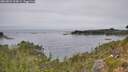 ./images/calvert/foggy-cove/20260829/foggy-cove20260829_124501M.jpg