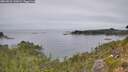 ./images/calvert/foggy-cove/20260829/foggy-cove20260829_130001M.jpg