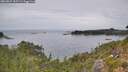 ./images/calvert/foggy-cove/20260829/foggy-cove20260829_135501M.jpg