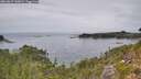 ./images/calvert/foggy-cove/20260829/foggy-cove20260829_140001M.jpg