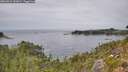 ./images/calvert/foggy-cove/20260829/foggy-cove20260829_141001M.jpg