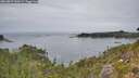 ./images/calvert/foggy-cove/20260829/foggy-cove20260829_142001M.jpg
