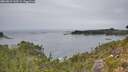 ./images/calvert/foggy-cove/20260829/foggy-cove20260829_142501M.jpg