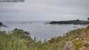 ./images/calvert/foggy-cove/20260829/foggy-cove20260829_144002M.jpg