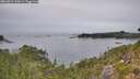 ./images/calvert/foggy-cove/20260829/foggy-cove20260829_144501M.jpg