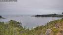 ./images/calvert/foggy-cove/20260829/foggy-cove20260829_145001M.jpg