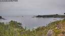 ./images/calvert/foggy-cove/20260829/foggy-cove20260829_152001M.jpg