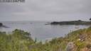 ./images/calvert/foggy-cove/20260829/foggy-cove20260829_154002M.jpg
