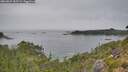 ./images/calvert/foggy-cove/20260829/foggy-cove20260829_155502M.jpg