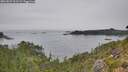 ./images/calvert/foggy-cove/20260829/foggy-cove20260829_161501M.jpg