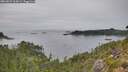 ./images/calvert/foggy-cove/20260829/foggy-cove20260829_165001M.jpg