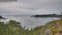 ./images/calvert/foggy-cove/20260829/foggy-cove20260829_172001M.jpg