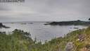 ./images/calvert/foggy-cove/20260829/foggy-cove20260829_173501M.jpg